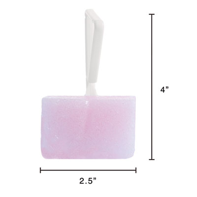 DEODORIZER,F/BOWL,4OZ,PK