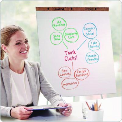 Easel Pads, Unruled, 27 x 34, White, 50 Sheets, 2/Carton