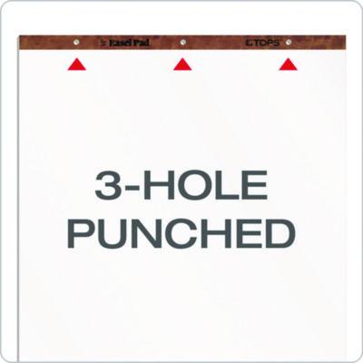 Easel Pads, Unruled, 27 x 34, White, 50 Sheets, 2/Carton