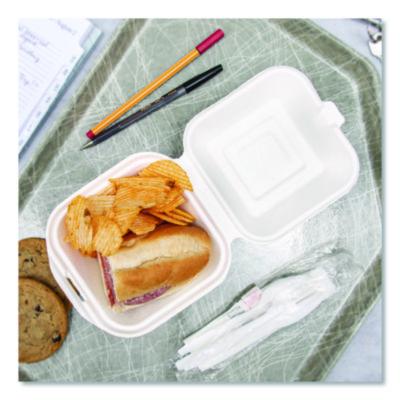 CONTAINER,TAKEOUT,H/L,6