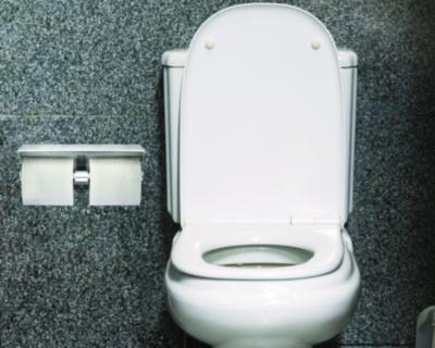 Alpine Industries Double Post Toilet Paper Holder with Shelf Storage Rack, 3.87 x 10.5 x 3.95, Brushed Stainless Steel (ALHALP487B) ALHALP487B