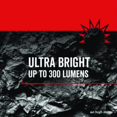 Virtually Indestructible LED Flashlight, 3 AAA Batteries (Included), Black