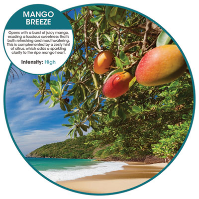 Fusion Metered Aerosols, Mango Breeze, 12/Carton