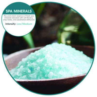 ourfreshE Refills, Spa Minerals, 6/Box