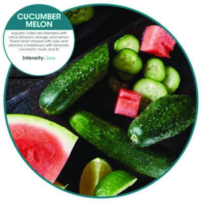 ourfreshE Refills, Cucumber Melon, 6/Box