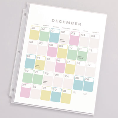 100 Pc Sheet Protector-Ring Binder: Clear