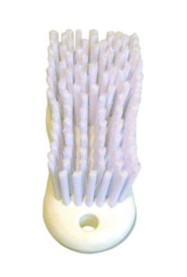 Scrub Brush, White Polypropylene Bristles, 6