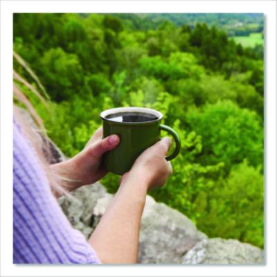 Green Mountain Coffee French Roast Coffee Fraction Packs, 2.2oz, 50/carton (GMT4441) GMT4441