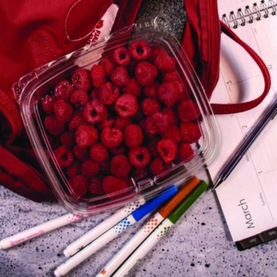 Dart ClearPac SafeSeal rPET Tamper-Resistant/Evident Containers, Embossed Bottom, 24 oz, 6.37 x 7.15 x 1.86, Clear, 200/Carton (DCCCH24DERF) DCCCH24DERF