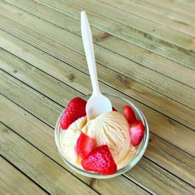 Mediumweight Polypropylene Cutlery, Spoon, 5.31