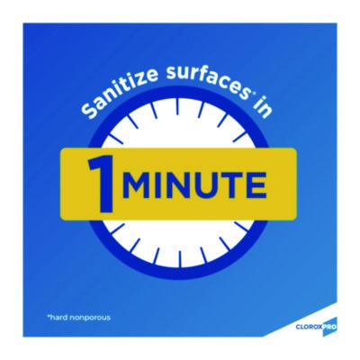 Anywhere Daily Disinfectant and Sanitizer, 32 oz Spray Bottle, 12/Carton