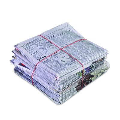 Pressure Gauge: 4-1/2