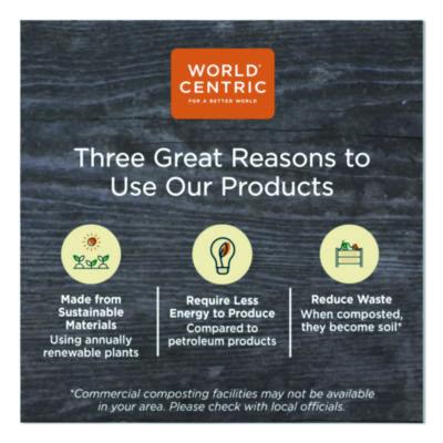 TPLA Compostable Cutlery, Spork, Plastic, White, 1,000/Carton