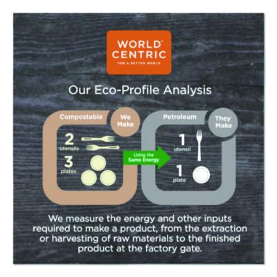 TPLA Compostable Cutlery, Spork, Plastic, White, 1,000/Carton