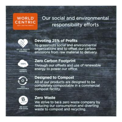 TPLA Compostable Cutlery, Spork, Plastic, White, 1,000/Carton