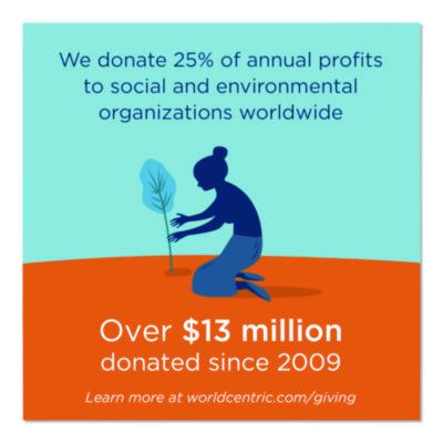 TPLA Compostable Cutlery, Spork, Plastic, White, 1,000/Carton