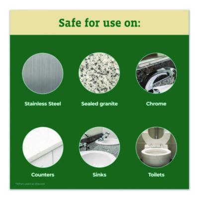 Clorox Pro EcoClean Multipurpose Cleaner, Unscented, 32 oz Spray Bottle