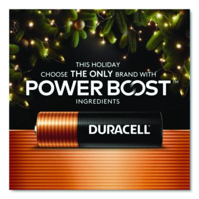 Power Boost CopperTop Alkaline AA Batteries, 24/Box