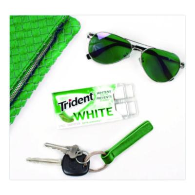 Trident Sugar-Free Gum, White Spearmint, 16 Sticks/pack, 9 Packs/box (CDBAMC67610) CDBAMC67610