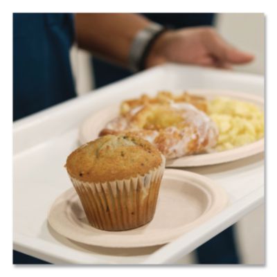 Dart Compostable Molded Fiber Dinnerware, ProPlanet Seal, Plate, 6" dia, Natural, 1,000/Carton (DCC6FBRP1) DCC6FBRP1