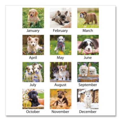 AT-A-GLANCE Puppies Monthly Wall Calendar, Puppies Photography, 15.5 x 22.75, White/Multicolor Sheets, 12-Month (Jan to Dec): 2025 (AAGDMW16728) AAGDMW16728