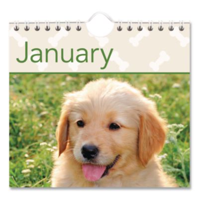 AT-A-GLANCE Puppies Monthly Wall Calendar, Puppies Photography, 15.5 x 22.75, White/Multicolor Sheets, 12-Month (Jan to Dec): 2025 (AAGDMW16728) AAGDMW16728