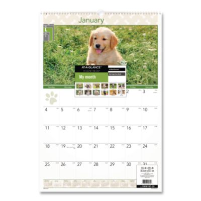AT-A-GLANCE Puppies Monthly Wall Calendar, Puppies Photography, 15.5 x 22.75, White/Multicolor Sheets, 12-Month (Jan to Dec): 2025 (AAGDMW16728) AAGDMW16728