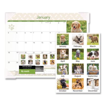 AT-A-GLANCE Puppies Monthly Desk Pad Calendar, Puppies Photography, 22 x 17, White Sheets, Clear Corners, 12-Month (Jan to Dec): 2025 (AAGDMD16632) AAGDMD16632