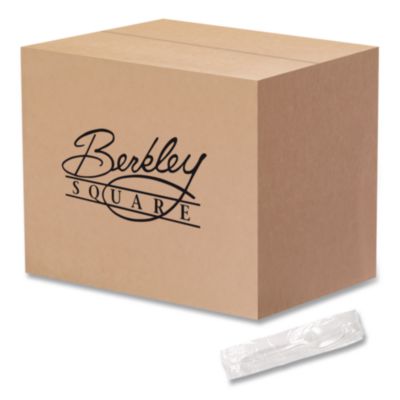 Berkley Square Individually Wrapped Mediumweight Cutlery, Spoon, Plastic, White, 1,000/Carton (BSQ1103000) BSQ1103000