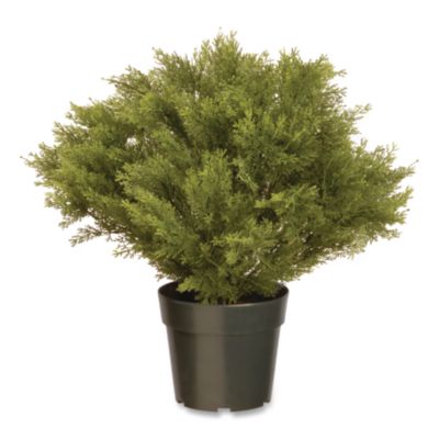 National Tree Company® Globe Juniper Topiary Tree