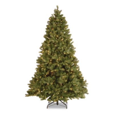 National Tree Company® Pre-Lit Downswept Douglas Fir Tree