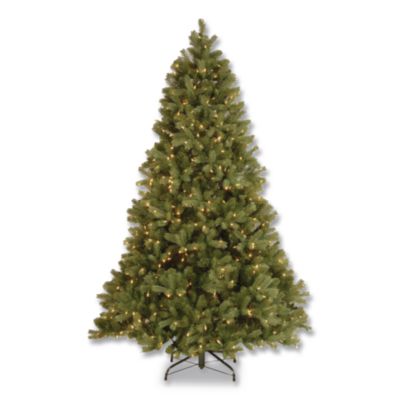 National Tree Company® Pre-Lit Downswept Douglas Fir Tree