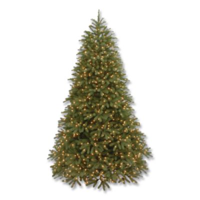 National Tree Company® Pre-Lit Jersey Fraser Fir Medium Tree