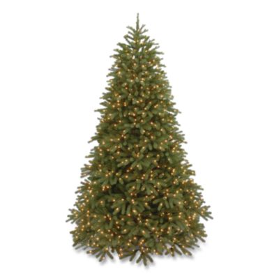 National Tree Company® Pre-Lit Jersey Fraser Fir Medium Tree