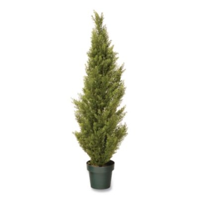 National Tree Company® Cedar Topiary Tree
