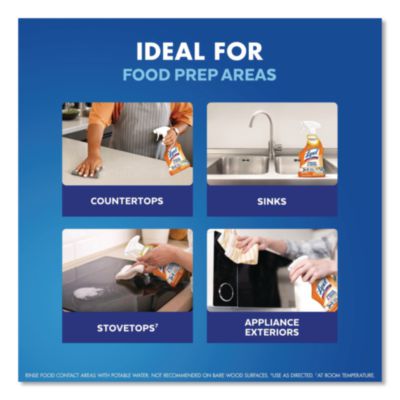 LYSOL Brand Kitchen Pro Antibacterial Cleaner, Citrus Scent, 22 oz Spray Bottle, 9/Carton (79556) RAC79556