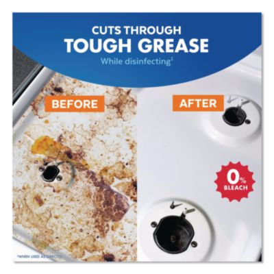 LYSOL Brand Kitchen Pro Antibacterial Cleaner, Citrus Scent, 22 oz Spray Bottle, 9/Carton (79556) RAC79556