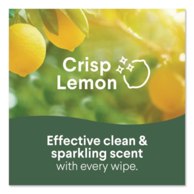 Clorox Disinfecting Cleaning Wipes, Flex Pack, 1-Ply, 8 x 7, Lemon Scent, White, 75 Towels/Box (CLO31404EA) CLO31404EA