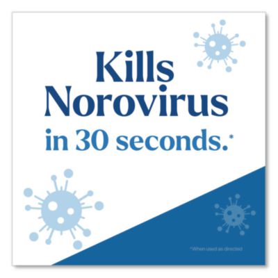 Clorox Clorox Pro EcoClean Disinfecting Cleaner, Unscented, 32 oz Spray Bottle (CLO60213) CLO60213