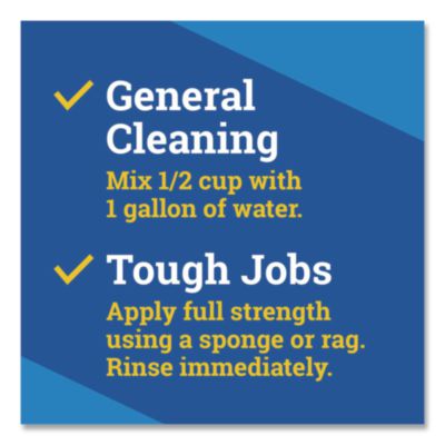 Clorox CloroxPro Fraganzia Multi-Purpose Cleaner Concentrate, Citrus Blossom Scent, 175 oz Bottle, 3/Carton (CLO60615CT) CLO60615CT