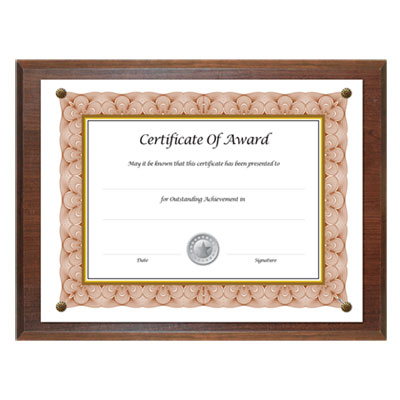 NuDell(TM) Award-A-Plaque