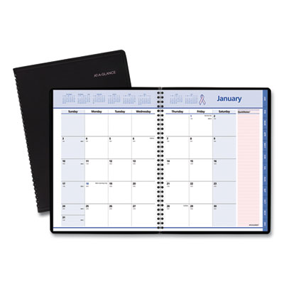AT-A-GLANCE® QuickNotes® Special Edition Monthly Planner