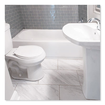 Antibacterial Disinfectant, 1 gal Bottle