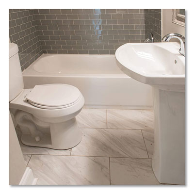 Antibacterial Disinfectant, Lemon Scent, 1 gal, 4/Carton