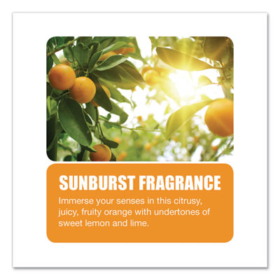 SCREEN,URINAL,10PK,N