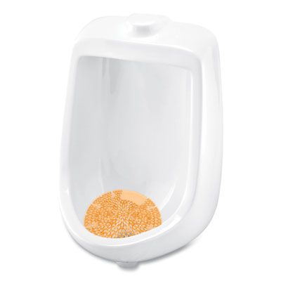 SCREEN,URINAL,10PK,N