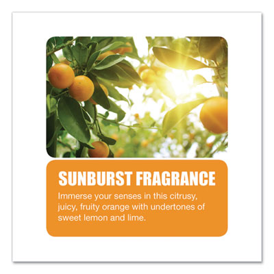 Aerosol Room Deodorant, Sunburst Scent, 15 oz Can, 12/Carton