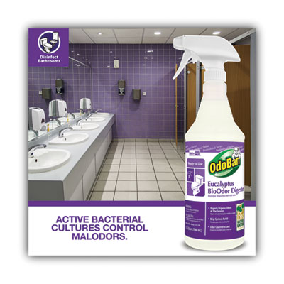 DISINFECTANT,ODO BN,32 OZ