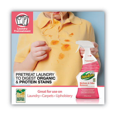 REMOVER,STAIN,CRPT/TLE,12