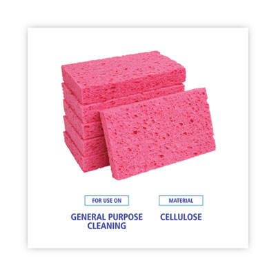 Small Cellulose Sponge, 3.6 x 6.5, 0.9